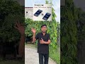 TECNO PHONES #shorts #ytshorts #tecnophones #tech #phone