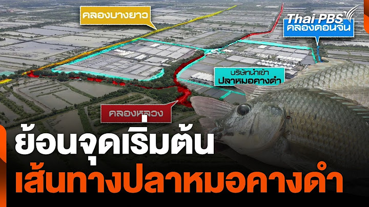 ย้อนจุดเริ่มต้น เส้นทาง "ปลาหมอคางดำ" | ข่าวค่ำ | 15 ก.ค. 67