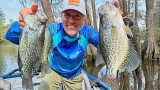 The BEST Technique for Slab Crappie (CATCH & COOK) by Marsh Man Masson 52,097 views 1 month ago 26 minutes