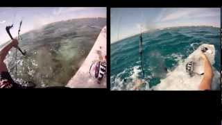 2011 El Gouna