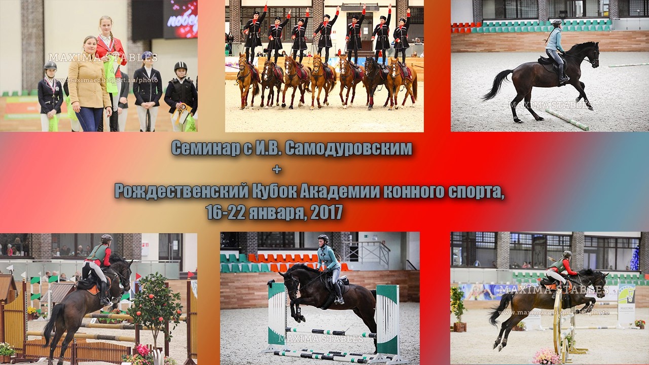 Академия конного спорта