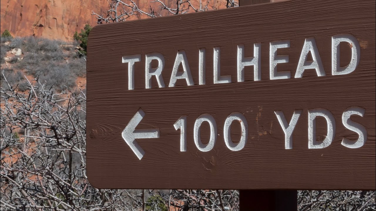 Dog Friendly Trails in Utah 