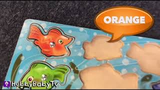 REAL SURPRISE FISH Learn Colors Fishy Puzzle HobbyBaby Tv