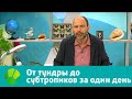 Природоведение. От тундры до субтропиков за один день | Живая Планета