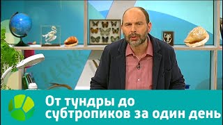 Природоведение. От тундры до субтропиков за один день | Живая Планета