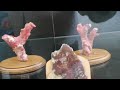 Горный Алтай - музей, зоопарк, Архиерейское подворье.