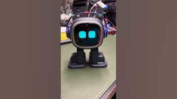 Playing Rock Paper Scissors with Emo trying to beat him but I can’t catch a break with Emo lol 😂