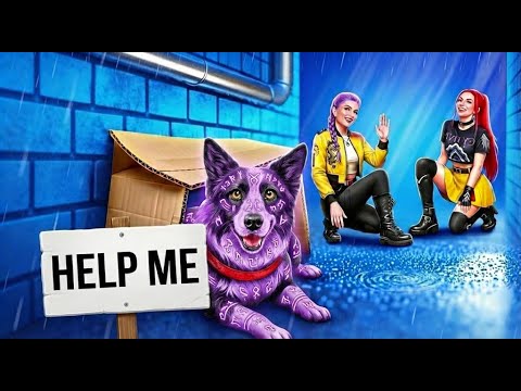 My dog ​​is missing! K-Pop Demon Hunters Rescue Mission (In Real Life)