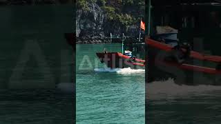 Vietnam, life with boats and rivers#vietnam #river #asia  فيتنام، حياة القوارب والأنهار