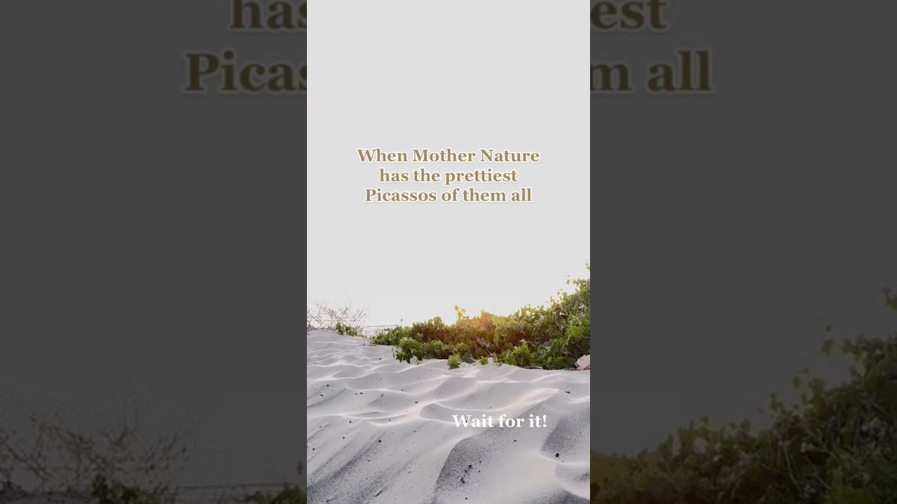 Mother Nature is just one big art project 🌎✨ 