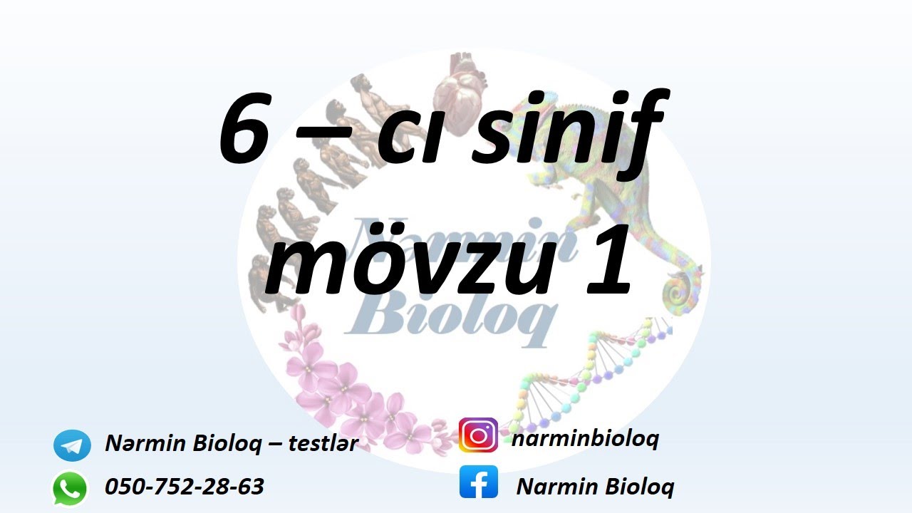 Biologiya 6ci snif movzu 1  Vetenimizin tebieti