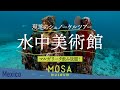 メキシコ現地のシュノーケルツアー!カリブ海の水中美術館 MOSA Museum!マルガリータ飲み放題付き!