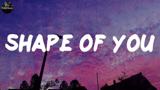 Shape of You - Ed Sheeran (Lyrics) by Twilight Sounds  2,329 views 4 weeks ago 3 minutes, 54 seconds