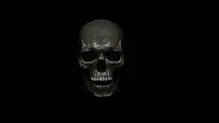 ER475SENS.avi