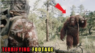 30 Most TERRIFYING Bigfoot Encounters Caught on Camera