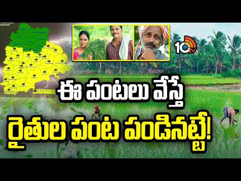 Telangana Govt Gives Suggestions to Farmers | ఈ పంటలు వేస్తే రైతుల పంట పండినట్టే! | 10TV News - 10TVNEWSTELUGU