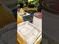ЁЯддЁЯШЛFILIPINO FOOD FEAST Filipinofood Foodfeast Pinoyfood Filipinorecipe Beeyay ЁЯддЁЯШЛFILIPINO FOOD FEAST Filipinofood Foodfeast Pinoyfood Filipinorecipe Beeyay