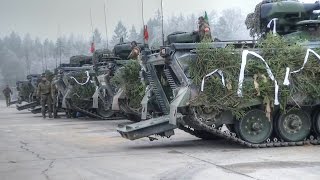 German Panzergrenadier Entering Lithuania