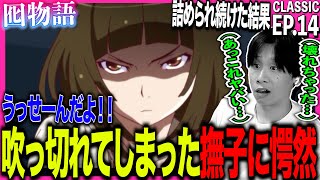 囮物語 同時視聴