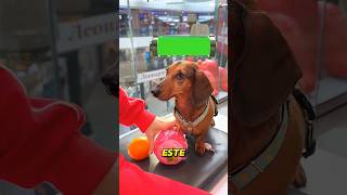 Bateria Acabando e Amigos Egoístas 😱🔋