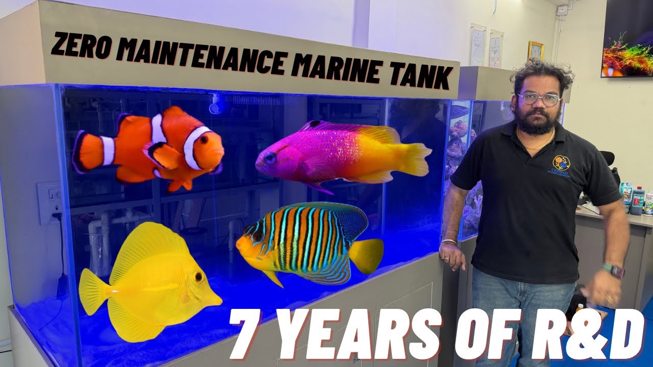 How We Engineered a Zero Maintenance Marine Tank (7 Years of R&D)