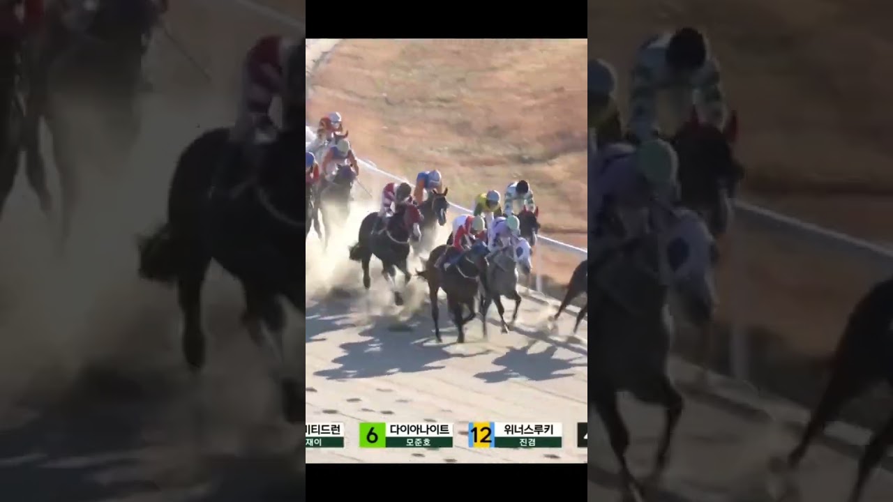 12번안죽네3방으로찍었는데01055876275