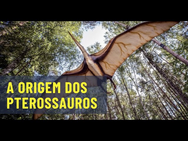 G1 - Pterossauros voavam bem, mas eram derrubados por vento forte