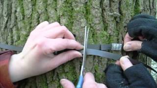 How to attach a plastic band dendrometer