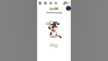 Brain out walkthrough level 63