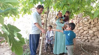 Mother's reconciliation with my wife. And Cobra's cooperation in creating a vegetable garden