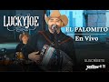 Lucky Joe - El Palomito (En Vivo) (Video Oficial)