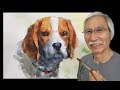 [ Eng sub ] How to paint a Dog | Watercolor Tips 水彩画の基本 〜犬を描くコツ 6分講座