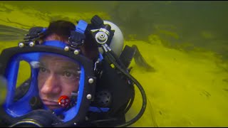 Diver Has Lucky Escape From Crocodile | Super Giant Animals | BBC Earth