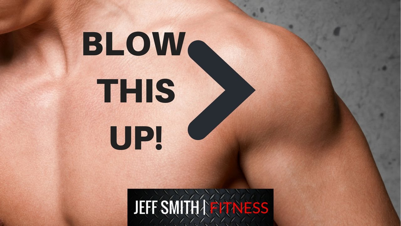 The Best Shoulder Press Exercises YouTube the-best-shoulder-press-exercises-youtube