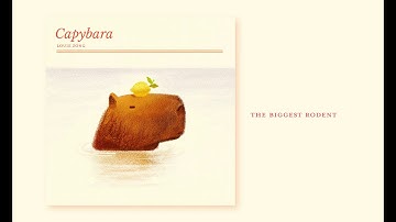 capybara (mini EP)