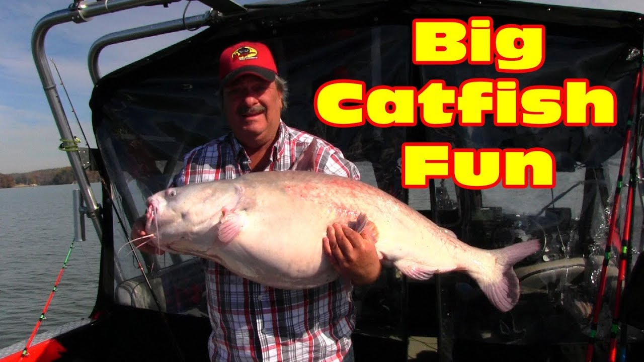 Just fishing for big catfish, The Monster takes the bait. YouTube