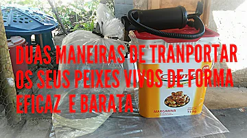 Quanto tempo o peixe aguenta?