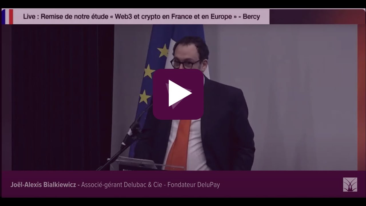 Web 3 and Crypto in France and Europe: Continued Adoption and Growth of the  Sector (2024 Edition) - Banque Delubac & Cie