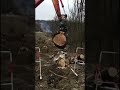 Excavator Hitachi Zaxis &amp; tree