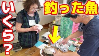 釣った魚を売店で売ったらいくらになるの？[金さんサバイバル24 #2]