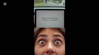 The Surprising Reason Tesla Cars Have A Dog Mode