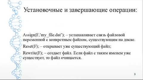 Pascal. Работа с файлами