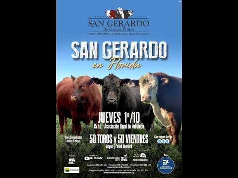 01-10-26 SAN GERARDO