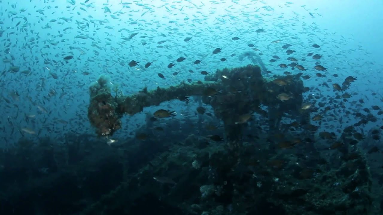 The wreck of the Romagna