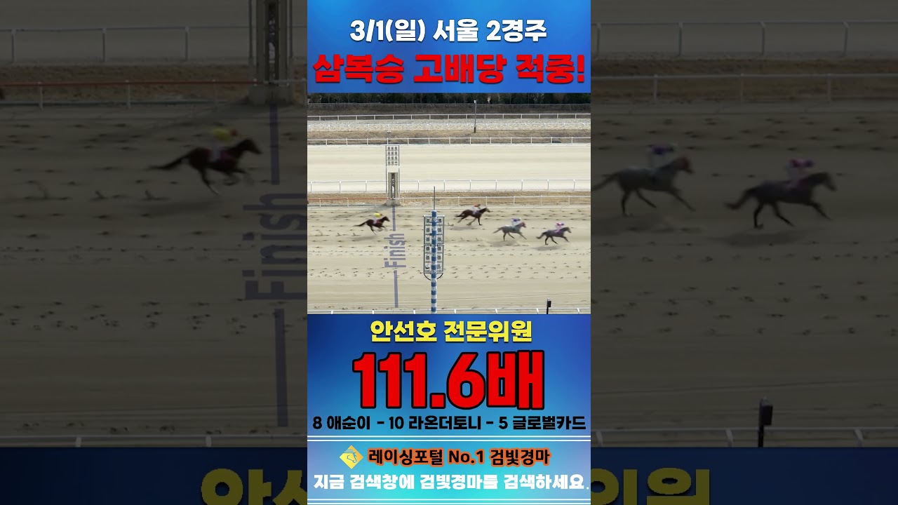 [서울 경마] 3월 1일 일요 2경주 안선호 전문위원 삼복승 고배당 적중 #경마 #automobile #하이라이트 #horse #한국마사회 #비트코인 #게임 #korean