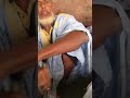 تلاميذ الشيخ أحمد أبو المعالي