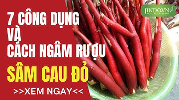 7 tác dụng của sâm cau đỏ và hướng dẫn cách sử dụng sâm cau đỏ
