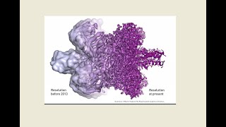 Behind the Scenes of Cryogenic Electron Microscopy with Prof. Henning Stahlberg