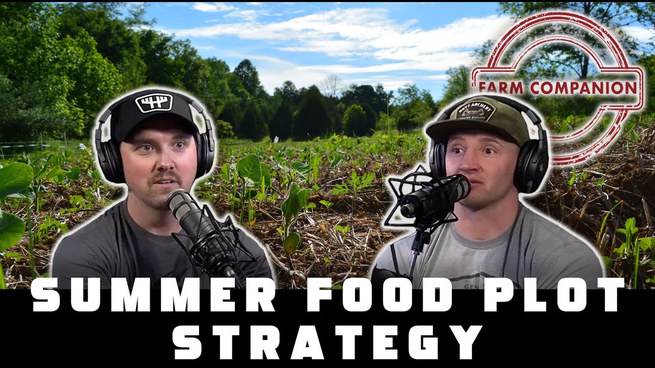Summer Food Plot Strategy | Farm Companion