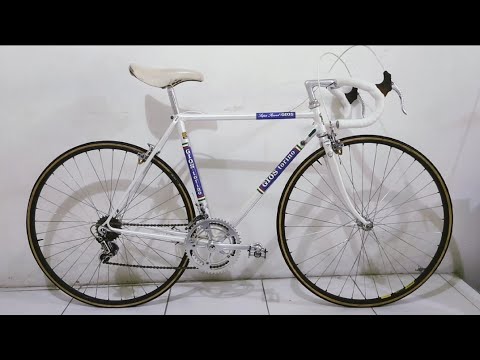 GIOS TORINO PROFESSIONAL VINTAGE BIKE